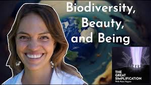 Leon Simons: "Aerosol Demasking and Global Heating"