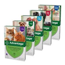 Advantage for cats flea treatment is a monthly flea drop which is proven to kill fleas with one application. Advantage Flea Treatment For Cats Dogs Rabbits