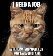 Enjoy the meme 'great job' uploaded by diedemand1. Cat Job Work Meme Cats Cute Cats Cute Animals