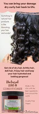 Leave In Conditioner Healthy Hair Hair Detangler Dull Hair