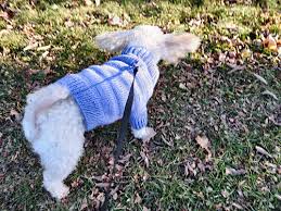 Check spelling or type a new query. Machine Knitted Dog Sweater Planetjune By June Gilbank Blog