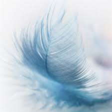 Download Kristopher Rich album songs: In The Breeze