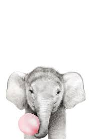 Elephant Baby Animal Drawings Animal Canvas Cute Baby Animals
