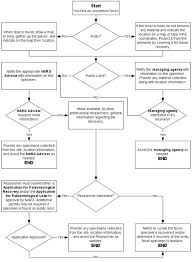 11 Scientific Flow Chart Of Vertebrates