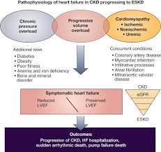 Account for 80% of all ed based admissions. Heart Failure In Chronic Kidney Disease Conclusions From A Kidney Disease Improving Global Outcomes Kdigo Controversies Conference Sciencedirect