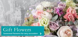 Maybe you would like to learn more about one of these? Home Helena S Flowers Gorey Co Wexford