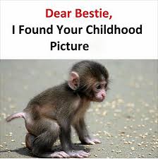 Enjoy the best jokes about our political process, current events, and leaders. 3 Monkey Friends Quotes Novocom Top
