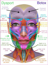 Mattie Dotson (mattierosie)