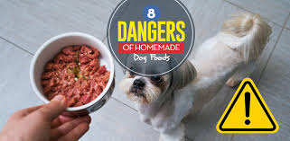 8 Dangers Of Diy Homemade Dog Food And How To Avoid All Of Them