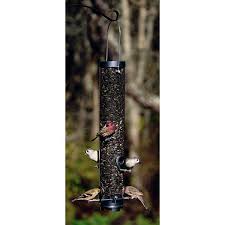 This motorized feeder will send squirrels on a wild ride and keep them away from your bird feeder. Droll Yankees Classic Sunflower Mixed Seed Tube Bird Feeder Wayfair