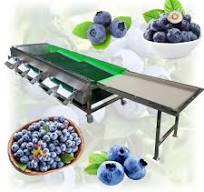 Blueberry Optical Sorter Machine Small Size Automatic Fruit Grading Sorting  Machine Blueberry Sorting Weighing Packing Machine