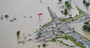 About 500,000 Cattle Feared Dead After Historic Queensland Floods - EcoWatch