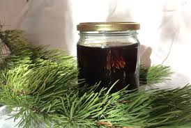 Ciri pokok pain di hutan konifer. Penyembuhan Jem Dari Jarum Pain