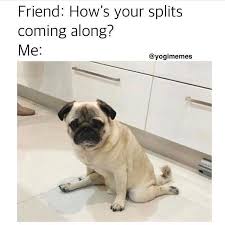 Yoga Memes Yoga Funny Memes Funny Yoga Memes Yoga Memes Funny Pilates Memes Yoga Funny Humor Yoga Humor Funny Yoga Meme W Training Your Dog Dog Memes Pug Memes