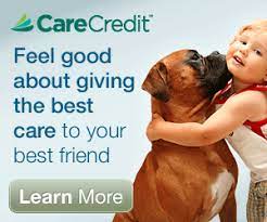 Get a quote online today to compare and find the right health frequently asked questions. Carecredit Sunnycrest Animal Care Center