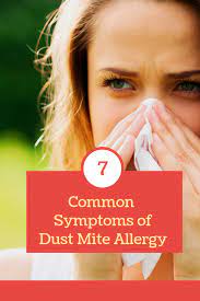 7 Common Symptoms Of Dust Mite Allergy Dust Mite Allergy Dust Allergy Symptoms Allergies