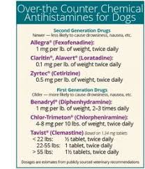 Over The Counter Antihistamines Just Might Be Your Dog S New Best Friend Happy Dog Naturals Dog Allergies Dog Itching Remedies Dog Medicine