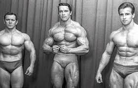 Dianabol has perhaps the most interesting origin of all steroidal compounds. Dianabol Cycle How To Maximize Gains Faq S Inside Bodybuilding