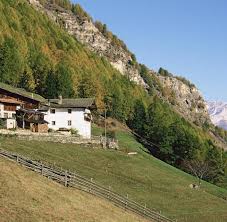 Mieten / kaufen mieten kaufen. Sudtirol Gunstige Gelegenheiten Fur Sommersitze Welt