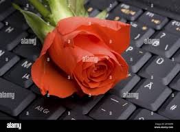 Red rose on laptop computer immagini e fotografie stock ad alta risoluzione  - Alamy