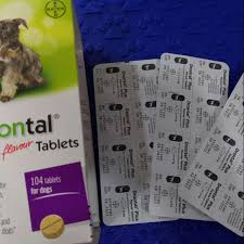 Do not use in pregnant dogs during the 1st and 2nd third of pregnancy. Drontal Deworm 1 Tablet 1 Tablet 10kg Shopee Malaysia