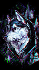 Download the wolf, animals png on freepngimg for free. Galaxy Wolf Wallpapers 4k Hd Galaxy Wolf Backgrounds On Wallpaperbat