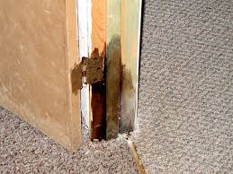Learn how crawlspace and basement waterproofing systems can help, along with an aprilaire dehumidifier. Effective Basement Waterproofing And Foundation Repairs