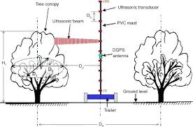 Canopy Size Latestnews2018 Info