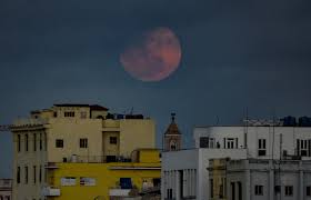 A la pleine lune, le 27 avril 2021 est rose au nom de la lune, une sorte de fleur? Tamt4ogpwle7nm