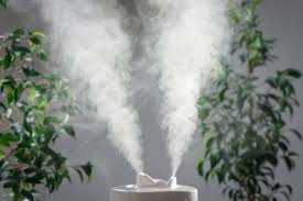 Maybe you would like to learn more about one of these? How To Increase The Humidity In Your Home Naturally Oh So Spotless