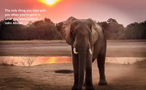 My Journey To Eat An Elephant My Wordpress