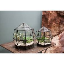 Thika Glass Terrarium Geometric Terrarium Succulent Terrarium Terrarium