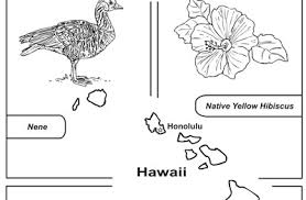 C letter worksheet your kids will practice c with this c letter worksheet. Mr Nussbaum Usa Hawaii Activities