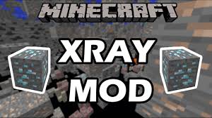 Step 1) download & install forge · step 2) download the xray mod · step 3) get to the '. Julialy S X Ray Mod 1 11 2 1 10 2 Liteloader Version 9minecraft Net