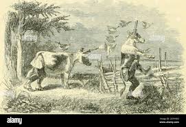 Plichard hi-res stock photography and images - Alamy