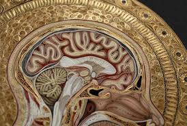In all, creators by alex pedersennovember 9, 2016. Vaida Rimeikyte On Twitter Today In Cool Brain Art Lisa Nilsson Angelico Picture By Ann Martin Of All Things Paper Https T Co Pdp3f9cqmx Https T Co Aixredlbhu