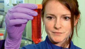 Catalog for licensing partners