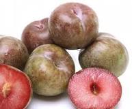 Image result