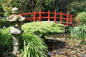 Ilex crenata, appelé aussi houx crénelé ou houx japonais, est un arbuste d'ornement persistant, utilisé en haie, massif. Jardin Japonais Comment Faire Un Jardin Zen Arbuste Idees Photos