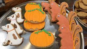 We did not find results for: Homemade Thanksgiving Dinner Recipes For Dogs Alaska Dog Works