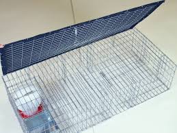 bird traps bird barrier