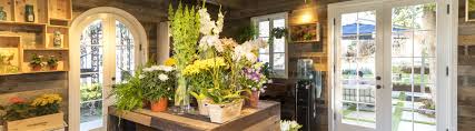 Well you're in luck, because here they come. Flower Shop Hollywood Forever