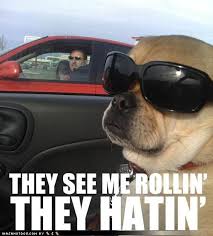 Police think they can see me lean i'm tint so it ain't easy to be seen when you see me ride by they can see the glean and my shine on the deck and the tv screen ride with a new chick, she like hold up next to the playstation controller is a. I Has A Hotdog Dog Pictures Funny Pictures Of Dogs Dog Memes Puppy Pictures Doge