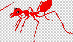 Ant Insect Network International Cargo Group Ltd Internet Png Clipart Animal Figure Animals Ant Ants Area Please use and share these clipart pictures with your friends. imgbin com