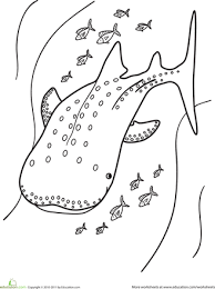 And you can freely use images for your personal blog! The Whale Shark Education Com Shark Coloring Pages Butterfly Coloring Page Coloring Pages