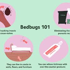 Bedbugs Overview And More Causes of bed bug bites. verywell health