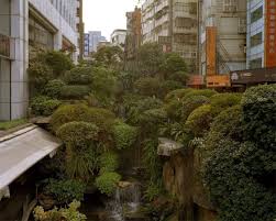 Urban Jungle Taipei Taiwan By Andreas Mass Landscape Taipei Urban Jungle
