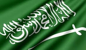 كلمات يا سائلا عن موطني وبلادي المرسال