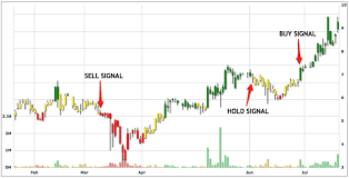 How To Add Texts Image Into A Chart Issue 2667