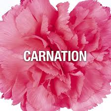 Maybe you would like to learn more about one of these? Buy Red By Giorgio Beverly Hills Perfume For Women 3 Fl Oz Edt Spray Online In Vietnam B000nvarrm